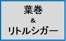 �t��
��
���g���V�K�[
